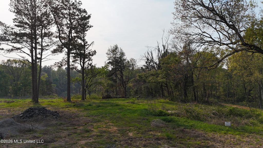 6 Tyro Branch Cove, Senatobia, MS 38668 — photo 2