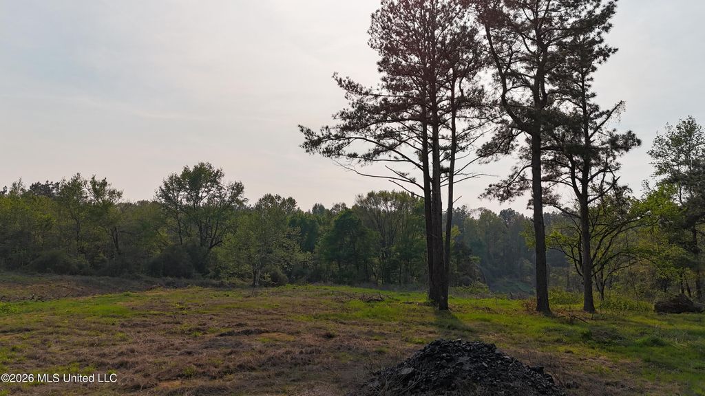 6 Tyro Branch Cove, Senatobia, MS 38668 — photo 3