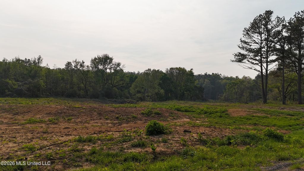 6 Tyro Branch Cove, Senatobia, MS 38668 — photo 4