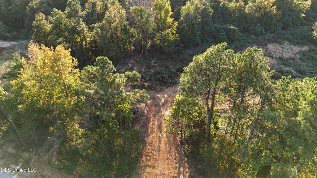 6 Tyro Branch Cove, Senatobia, MS 38668 — photo 5