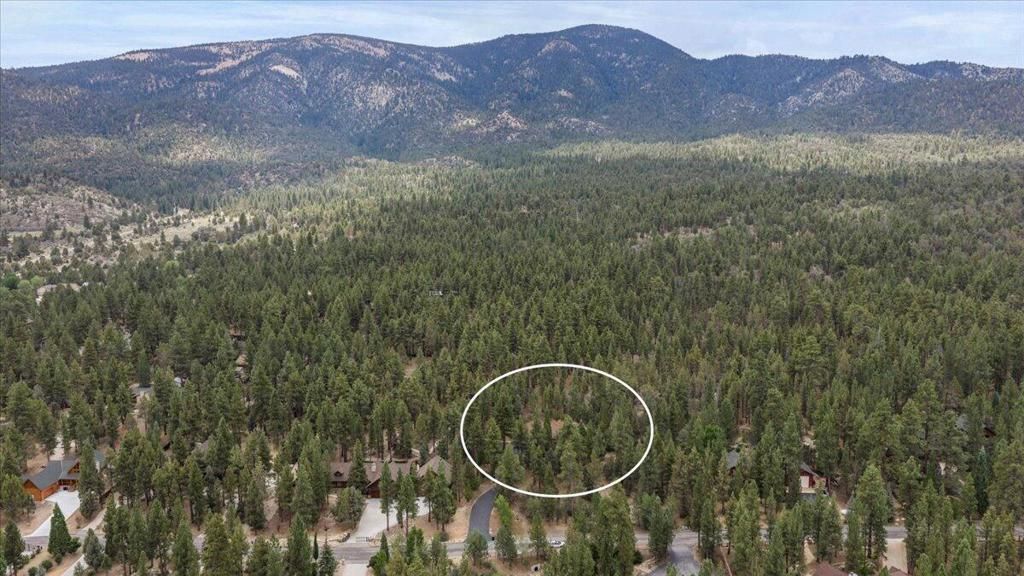 Image 13 of property listing at 1924 Shady Lane, Big Bear City, CA 92314