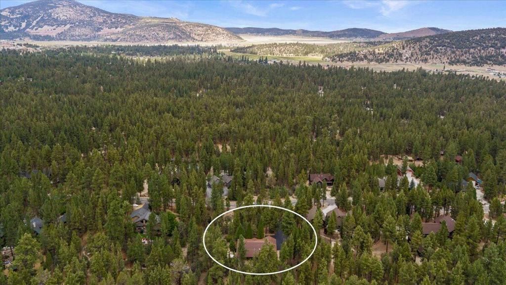 Image 48 of property listing at 1924 Shady Lane, Big Bear City, CA 92314