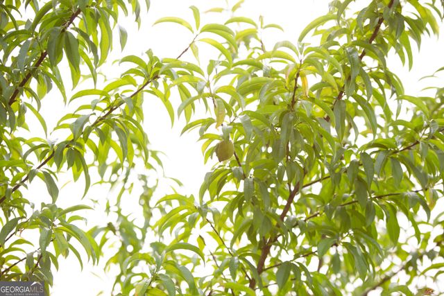 44 Big Sky Drive, Hamilton, GA 31811