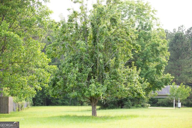 44 Big Sky Drive, Hamilton, GA 31811