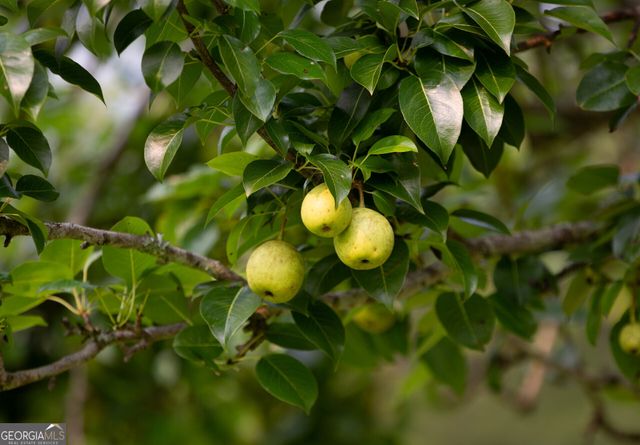 44 Big Sky Drive, Hamilton, GA 31811