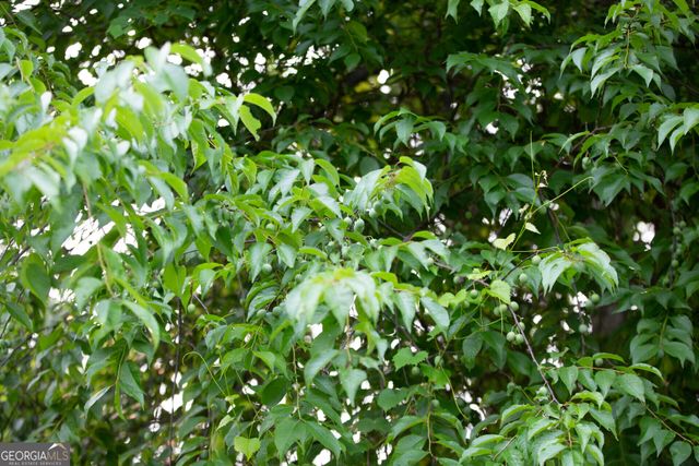 44 Big Sky Drive, Hamilton, GA 31811