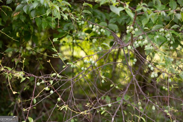 44 Big Sky Drive, Hamilton, GA 31811