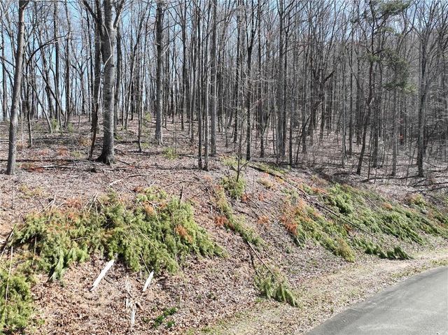 180 Trailwood Drive, Ellijay, GA 30536