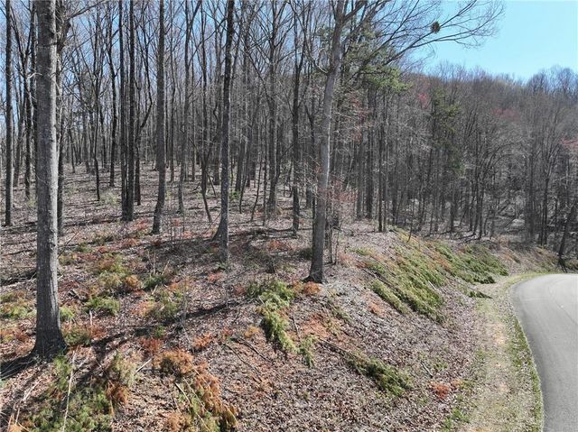 180 Trailwood Drive, Ellijay, GA 30536