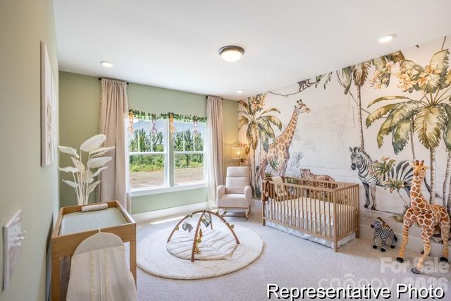 1869 Climbing Rose Court 14, Rock Hill, SC 29732