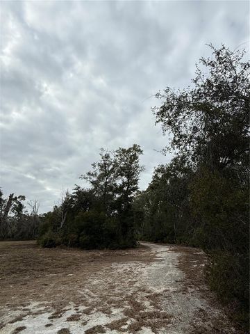 347 NE 544TH STREET, Old Town, FL 32680