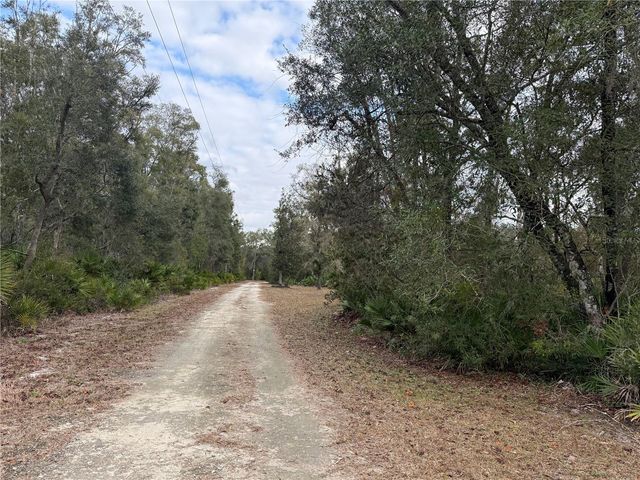 347 NE 544TH STREET, Old Town, FL 32680