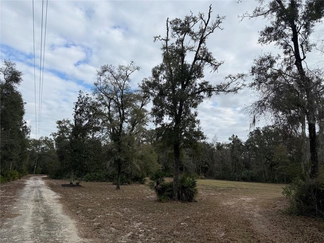 347 NE 544TH STREET, Old Town, FL 32680