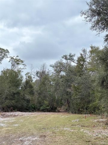 347 NE 544TH STREET, Old Town, FL 32680