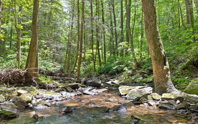Lot 547 Wilderness Way, Dunlap, TN 37327