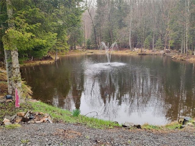 8621 Number Four Road, Watson, NY 13367