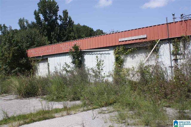 31630 HIGHWAY 25, Wilsonville, AL 35186