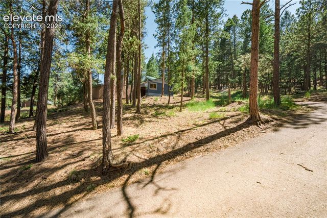 196 Summer Haven Drive, Woodland Park, CO 80863