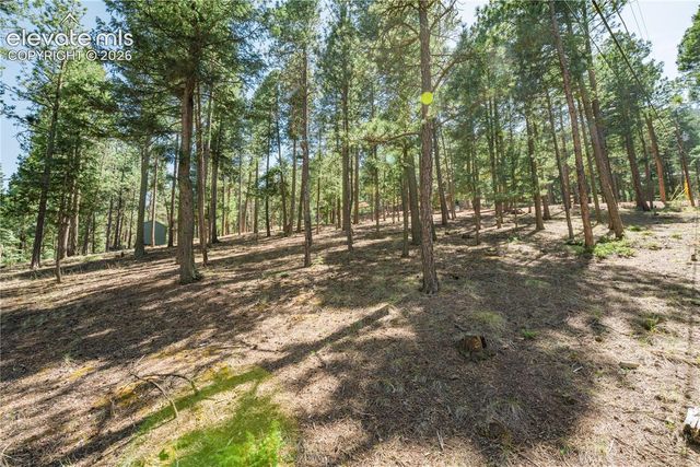 196 Summer Haven Drive, Woodland Park, CO 80863