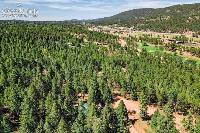 196 Summer Haven Drive, Woodland Park, CO 80863