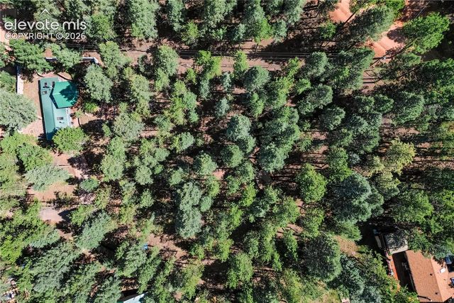 196 Summer Haven Drive, Woodland Park, CO 80863