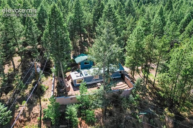 196 Summer Haven Drive, Woodland Park, CO 80863