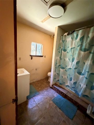 204 Kangaroo, Onalaska, TX 77360