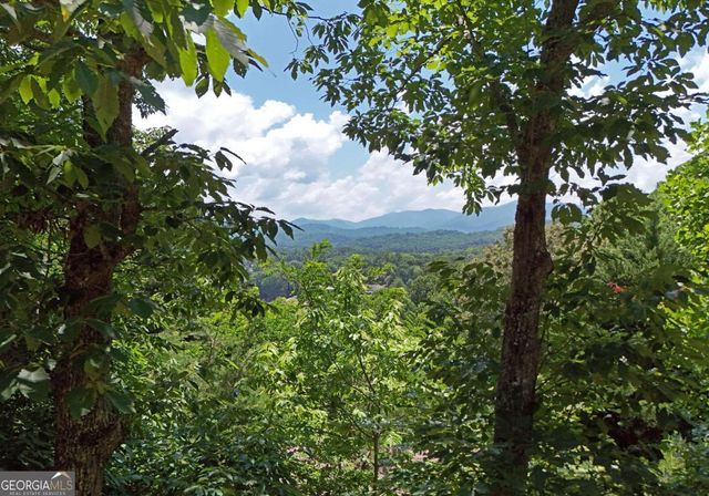 714 Mountain View Road 36, 35, Hiawassee, GA 30546