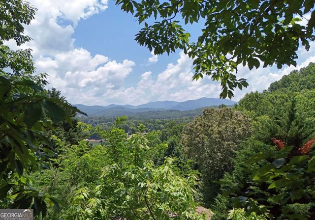 714 Mountain View Road 36, 35, Hiawassee, GA 30546