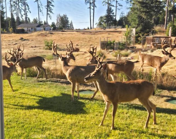 611 Sunset, Paradise, CA 95969