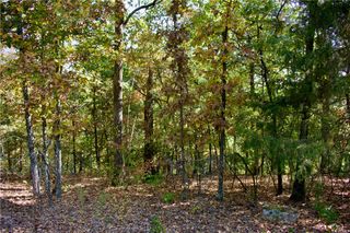 S Hills Loop, Eureka Springs, AR 72631