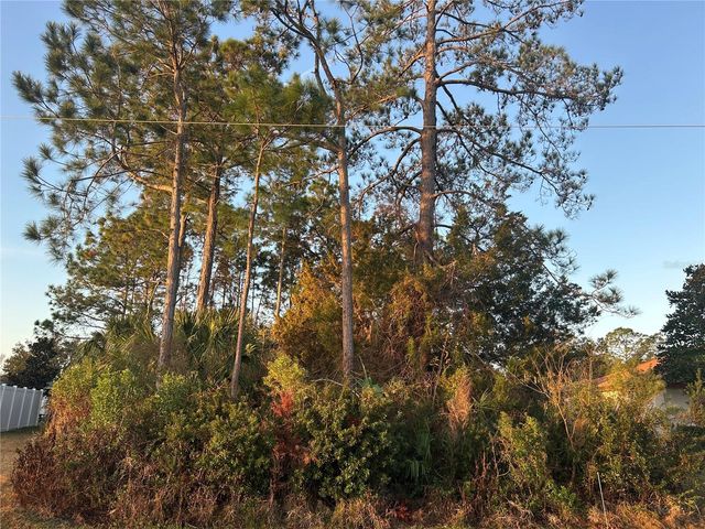 4 WHITE HALL DRIVE, Palm Coast, FL 32137