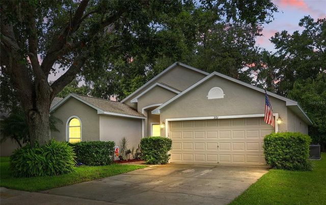 3101 BEAVER POND TRAIL, Valrico, FL 33596