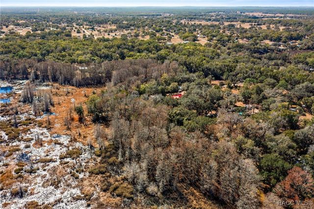 9193 S Great Oaks Drive, Floral City, FL 34436