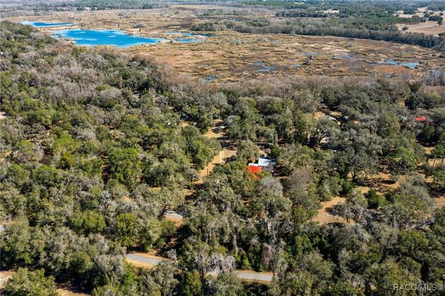 9193 S Great Oaks Drive, Floral City, FL 34436