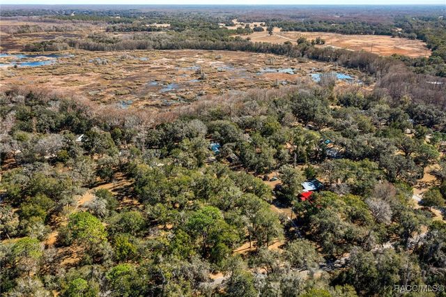 9193 S Great Oaks Drive, Floral City, FL 34436