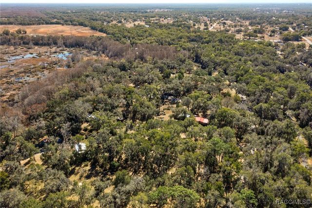 9193 S Great Oaks Drive, Floral City, FL 34436