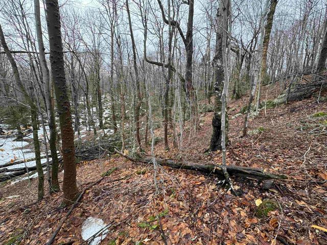 9 Cortina Country Rd # 9, Mendon, VT 05701