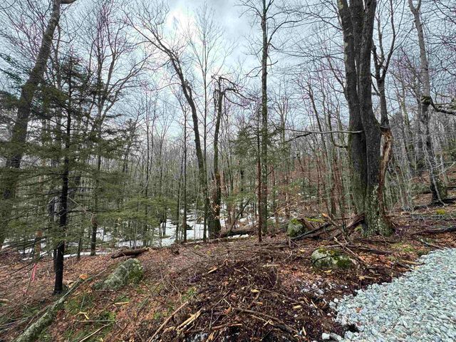 9 Cortina Country Rd # 9, Mendon, VT 05701
