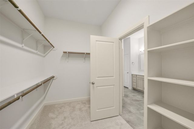 139 Trillium Park Loop, Conroe, TX 77304