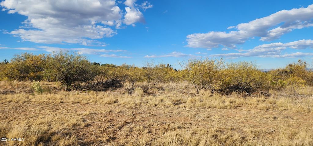 Image 7 of property listing at TBD Stickler -- A, Hereford, AZ 85615