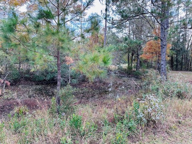 12468 SE 349 HIGHWAY, Old Town, FL 32680