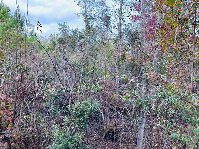 12468 SE 349 HIGHWAY, Old Town, FL 32680