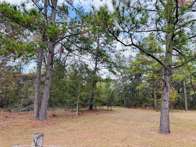 12468 SE 349 HIGHWAY, Old Town, FL 32680