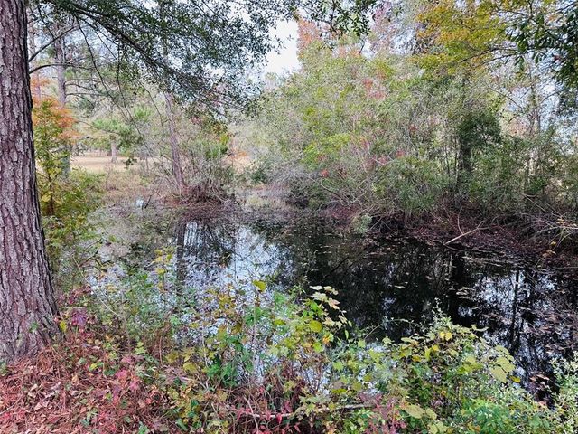 12468 SE 349 HIGHWAY, Old Town, FL 32680