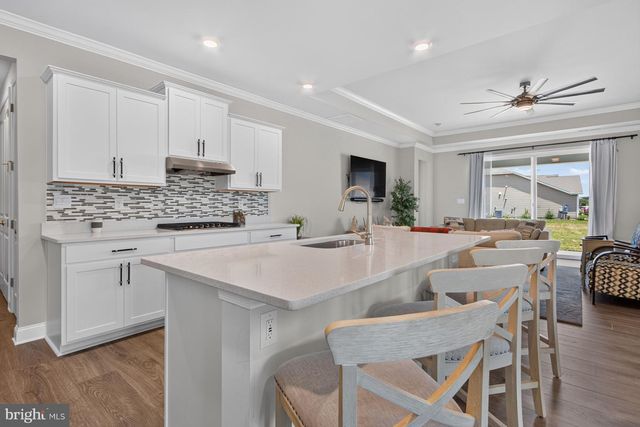 34095 SKYFLOWER LOOP, Lewes, DE 19958