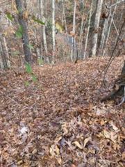 - Gold Dust Drive, Pigeon Forge, TN 37863