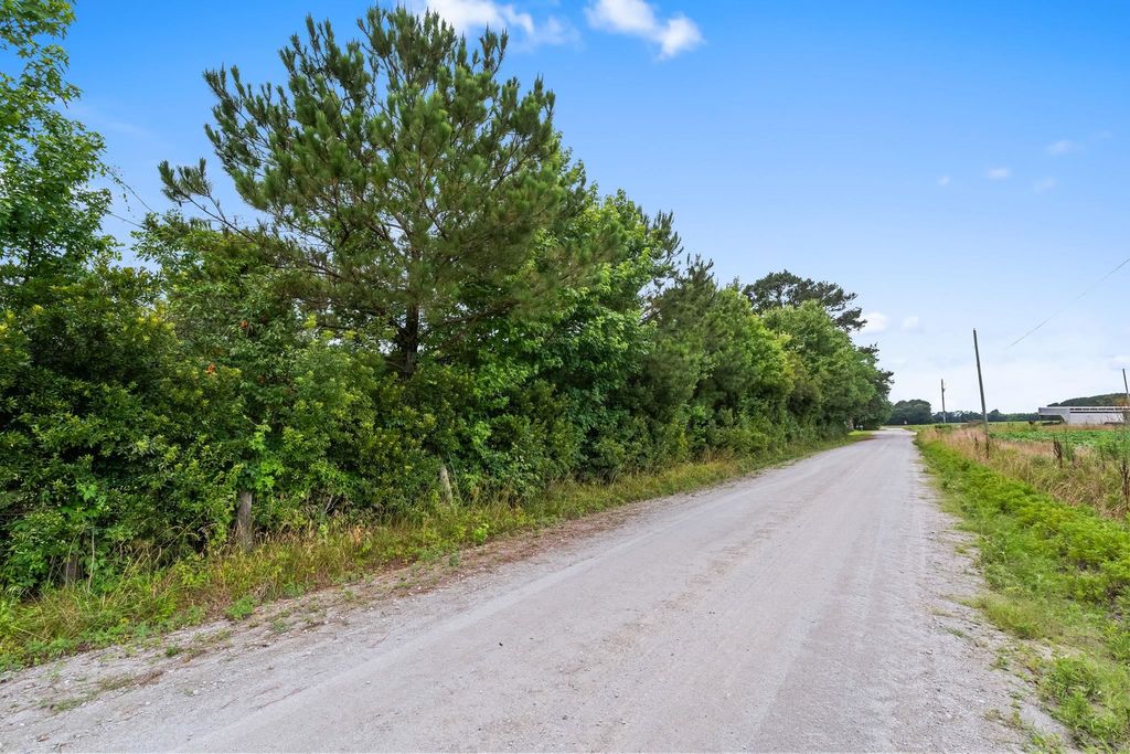 Tract 2 Smith Rd., Aynor, SC 29511 — photo 5
