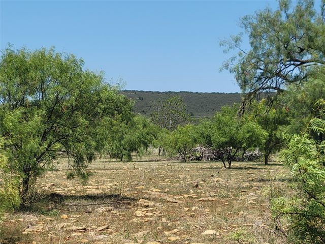 401 CR 104, Santa Anna, TX 76878