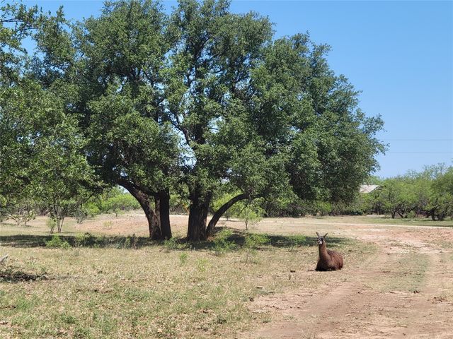 401 CR 104, Santa Anna, TX 76878